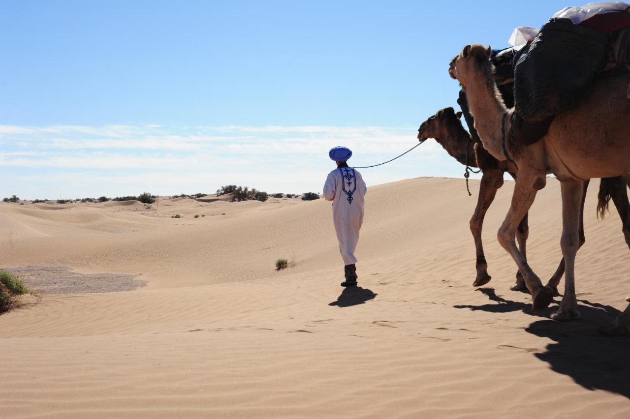 Hotel Berber Camp & Desert Tours M'Hamid Zewnętrze zdjęcie