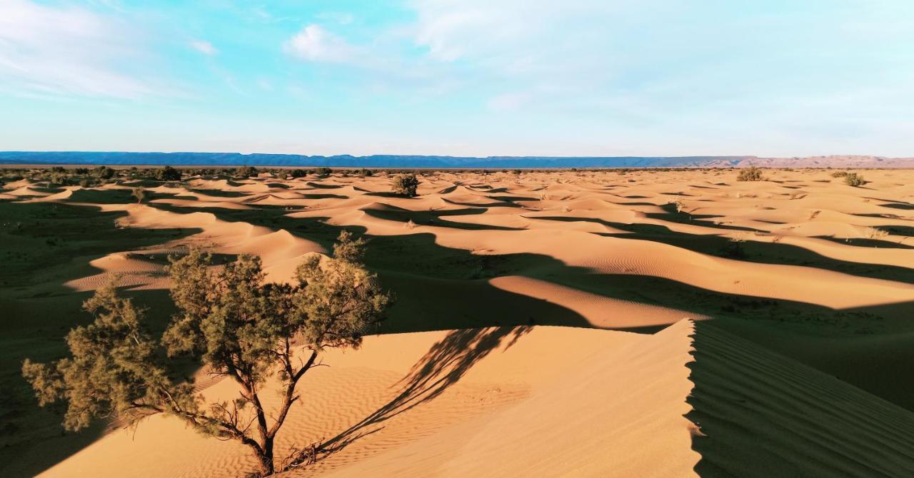 Hotel Berber Camp & Desert Tours M'Hamid Zewnętrze zdjęcie