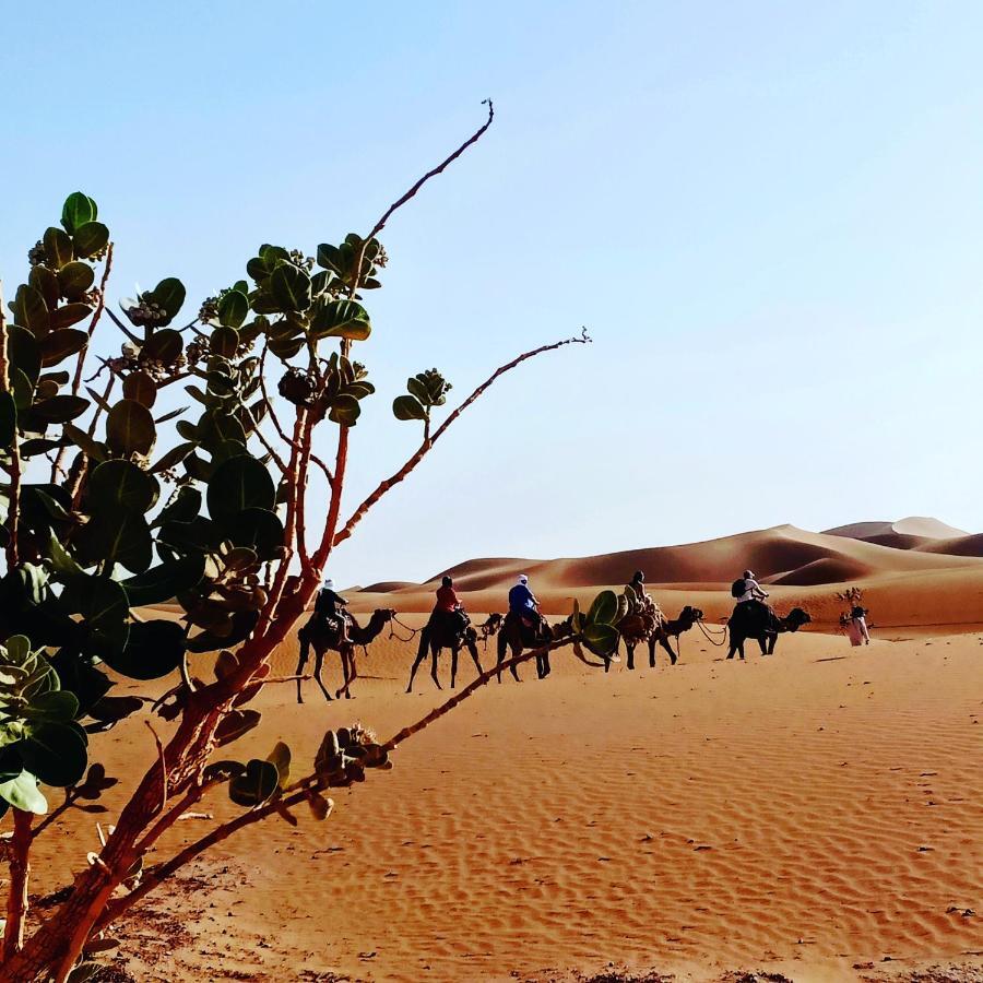 Hotel Berber Camp & Desert Tours M'Hamid Zewnętrze zdjęcie